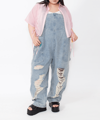 PUNYUS�i�v�j���X�j | �_���[�W�f�j���I�[�o�[�I�[��