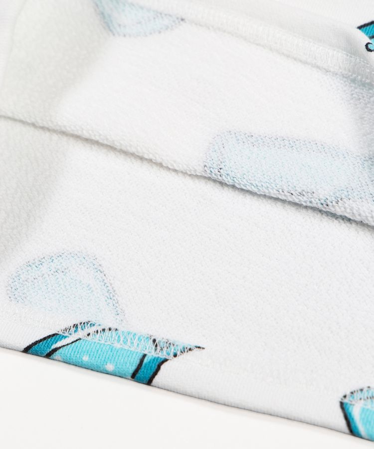 �y�V�T�C�Y�z�t�[�h�����X�E�F�b�g�V���[�g�p���c