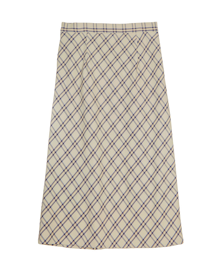 �`�F�b�N�������O�X�J�[�g