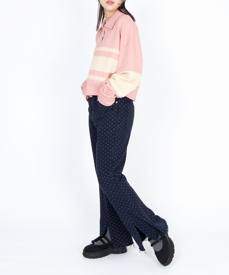 �o�C�J���[���K�[�X�E�F�b�g