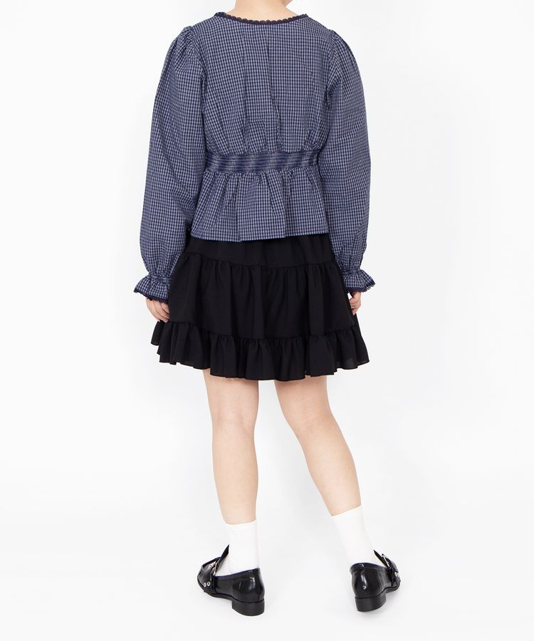 �`�F�b�N���p�t�X���[�u�u���E�X