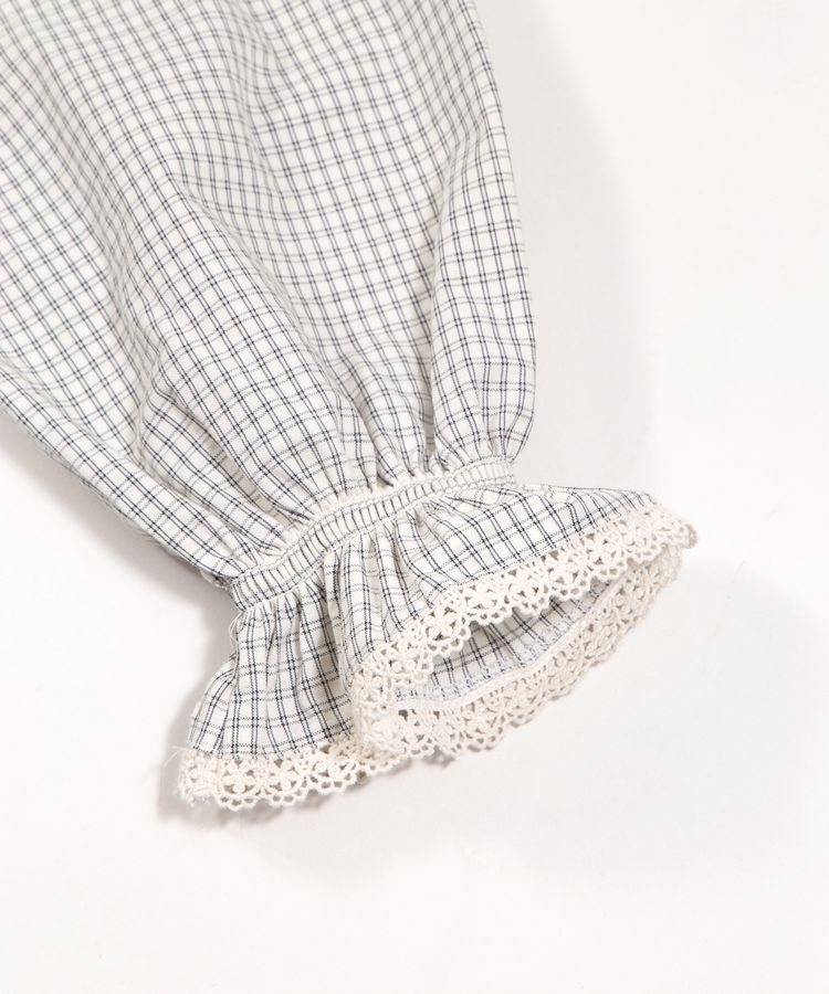 �`�F�b�N���p�t�X���[�u�u���E�X