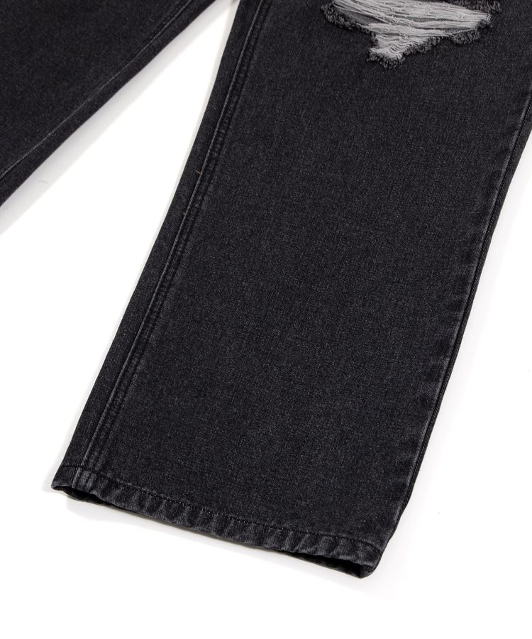 �_���[�W���M�����[�f�j���p���c