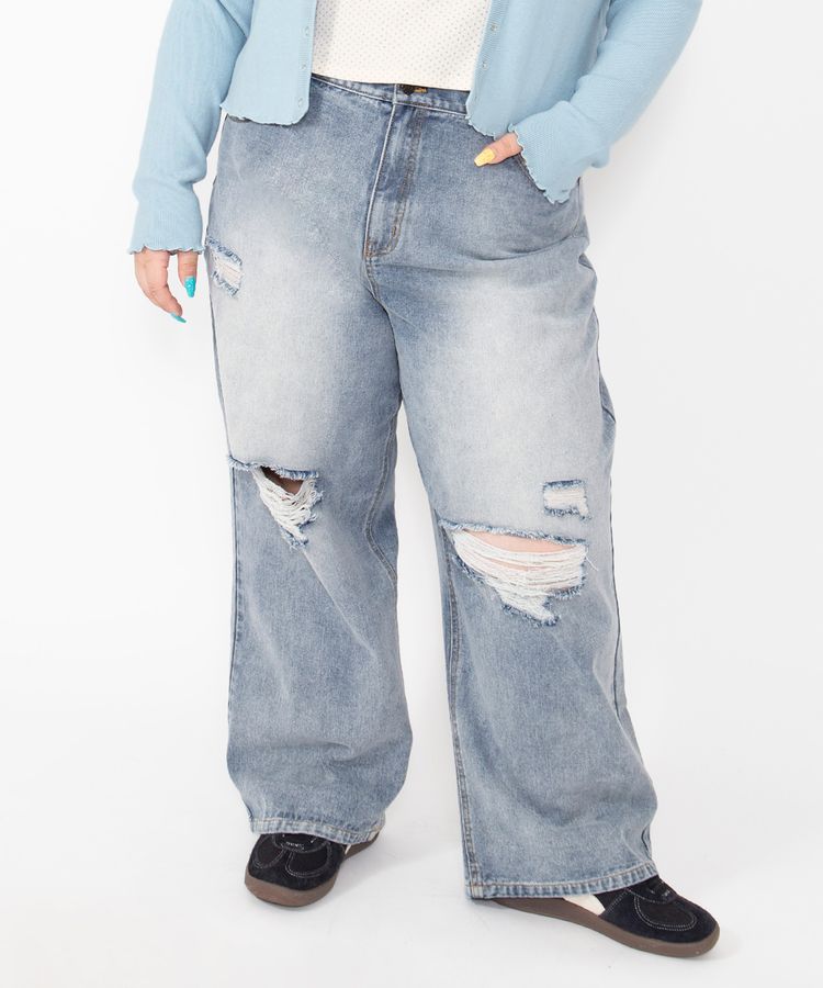 �_���[�W���M�����[�f�j���p���c