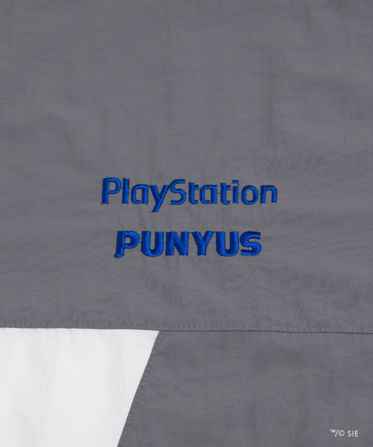 PlaystationiCs[X
