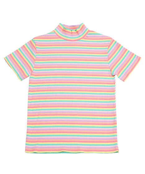 マルチボーダーハイネックリブTシャツ[商品：PN25SS-032] - PUNYUS